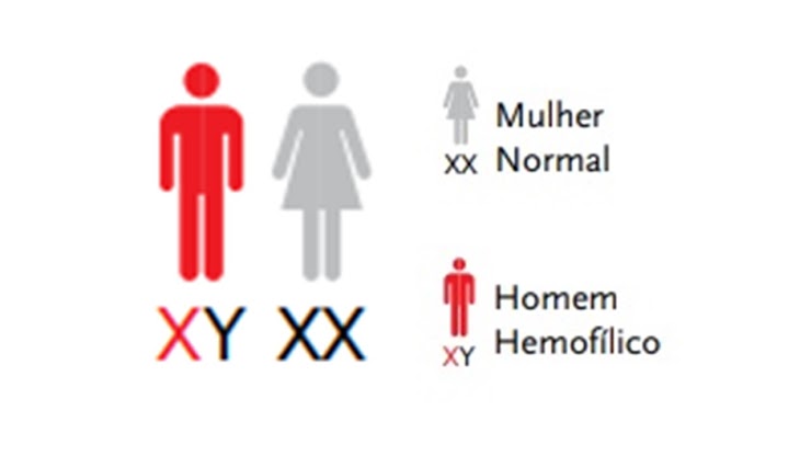 Esquema de cruzamento ligado ao X entre homem hemofílico e mulher fenotipicamente normal não portadora.